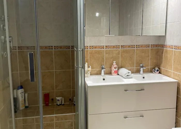 Bel Spacieux Et Lumineux De 100m2 Au 3e Etage Avec Ascenseur -a 5mn A Pied Du Parc Des Expositions Congres De Et Eng Et 10mn Du Centre Place Parking Devant L'immeuble Dijon