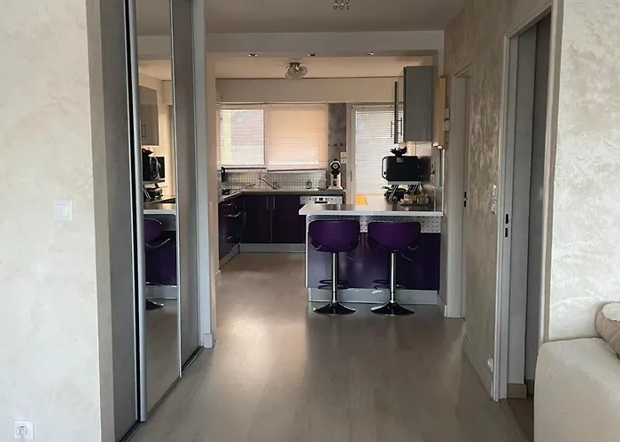 Lejlighed Bel Spacieux Et Lumineux De 100m2 Au 3e Etage Avec Ascenseur -a 5mn A Pied Du Parc Des Expositions Congres De Et Eng Et 10mn Du Centre Place Parking Devant L'immeuble