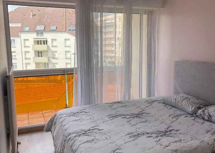 Apartment Bel Spacieux Et Lumineux De 100m2 Au 3e Etage Avec Ascenseur -a 5mn A Pied Du Parc Des Expositions Congres De Et Eng Et 10mn Du Centre Place Parking Devant L'immeuble *