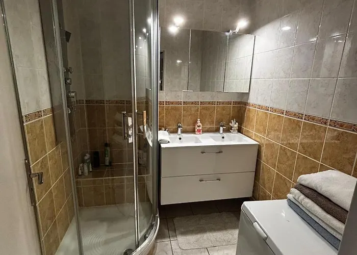 Bel Spacieux Et Lumineux De 100m2 Au 3e Etage Avec Ascenseur -a 5mn A Pied Du Parc Des Expositions Congres De Et Eng Et 10mn Du Centre Place Parking Devant L'immeuble *