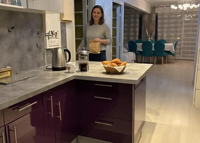 Bel Spacieux Et Lumineux De 100m2 Au 3e Etage Avec Ascenseur -a 5mn A Pied Du Parc Des Expositions Congres De Et Eng Et 10mn Du Centre Place Parking Devant L'immeuble * Dijon